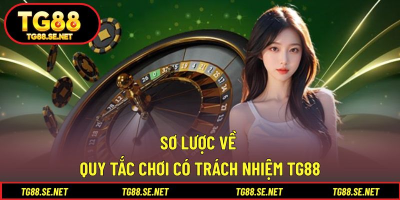 Sơ lược về quy tắc chơi có trách nhiệm TG88 Sơ lược về quy tắc chơi có trách nhiệm TG88