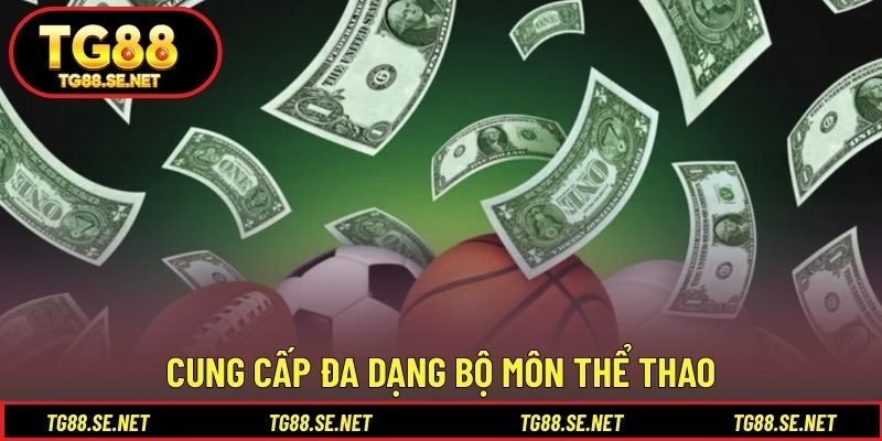 Cung cấp đa dạng bộ môn thể thao Cung cấp đa dạng bộ môn thể thao