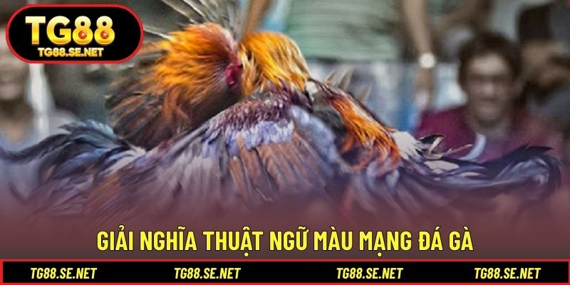 Giải nghĩa thuật ngữ màu mạng đá gà Giải nghĩa thuật ngữ màu mạng đá gà
