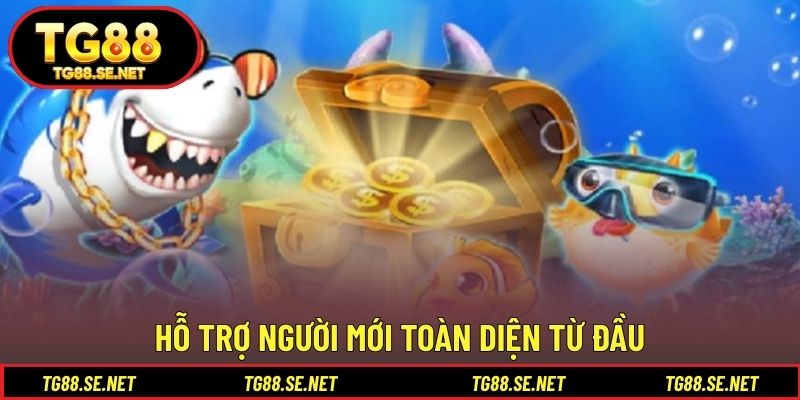 Hỗ trợ người mới toàn diện từ đầu Hỗ trợ người mới toàn diện từ đầu