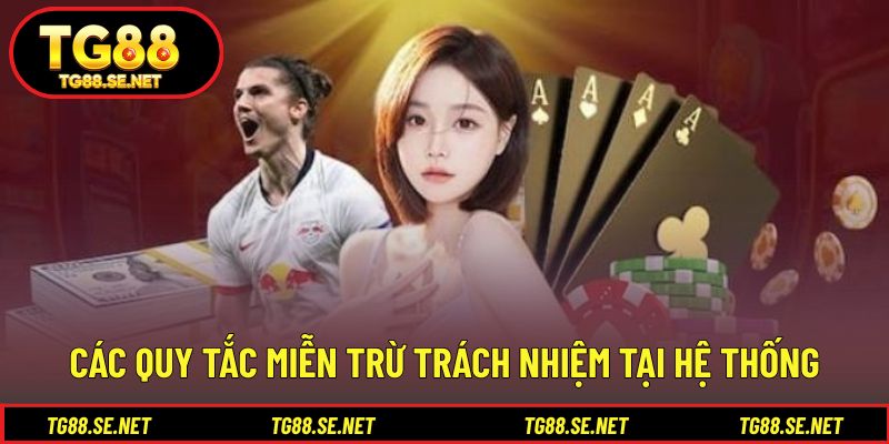 Các quy tắc miễn trừ trách nhiệm tại hệ thống Các quy tắc miễn trừ trách nhiệm tại hệ thống