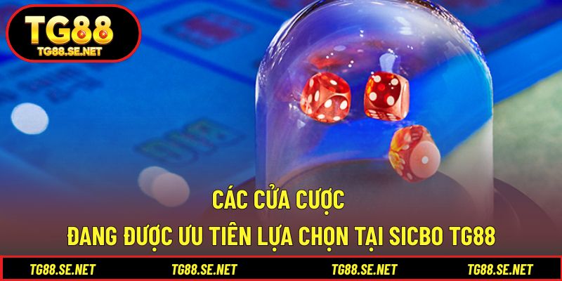 Các cửa cược đang được ưu tiên lựa chọn tại Sicbo TG88 Các cửa cược đang được ưu tiên lựa chọn tại Sicbo TG88