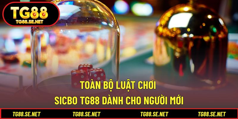 Toàn bộ luật chơi Sicbo TG88 dành cho người mới Toàn bộ luật chơi Sicbo TG88 dành cho người mới