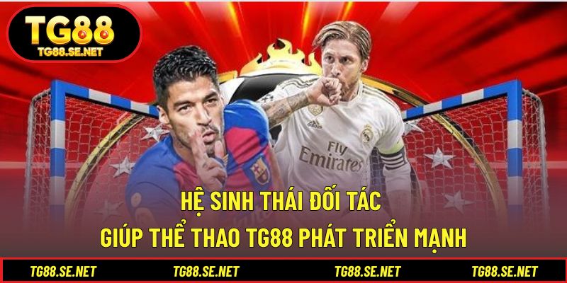 Hệ sinh thái đối tác giúp thể thao TG88 phát triển mạnh Hệ sinh thái đối tác giúp thể thao TG88 phát triển mạnh