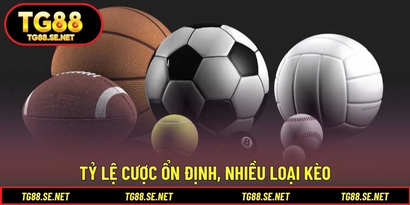 Tỷ lệ cược ổn định, nhiều loại kèo Tỷ lệ cược ổn định, nhiều loại kèo