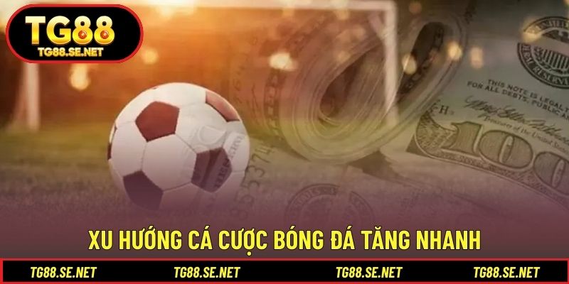Xu hướng cá cược bóng đá tăng nhanh Xu hướng cá cược bóng đá tăng nhanh
